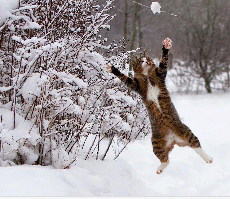 Kahraman_2M_'s tweet photo. @paradisemariya @aster176562331 @Mehtap_Karagoz_ @Window_2M 
hahahahaaaa^_^ http://t.co/4cd1s1yA7n