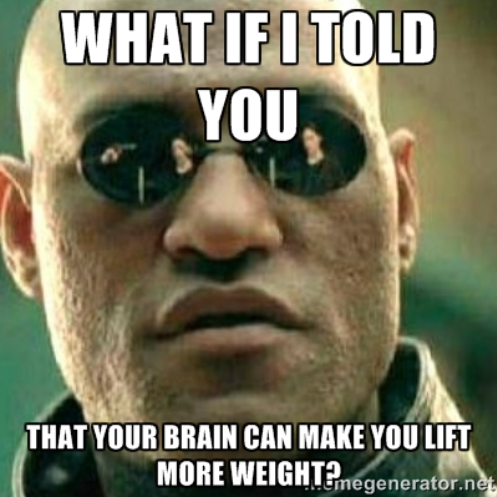 MusclePerf's tweet photo. Here are #5Ways to trick your brain into recruiting more #muscle each set. #aimfitness http://t.co/DG4r8cQnSb http://t.co/WR2Y4WYpiR