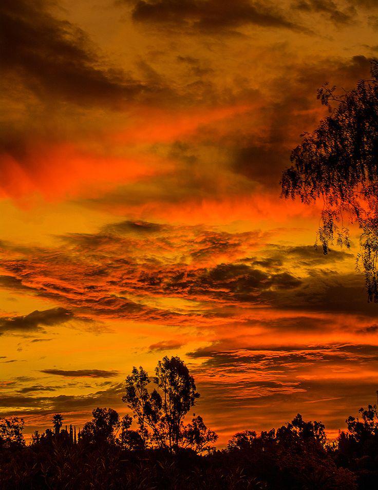 4732pxqh's tweet image. Beautiful.