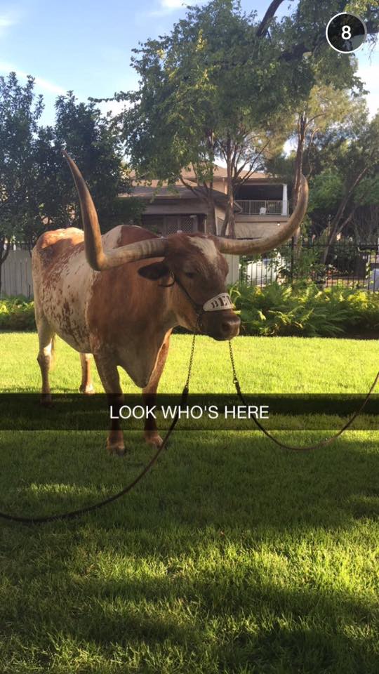 There are only a few hours left to watch <a href="/texaszta/">Texas Zeta Tau Alpha</a>'s #ZTABidDay Snapchat takeover! Add ztafraternity to see it.