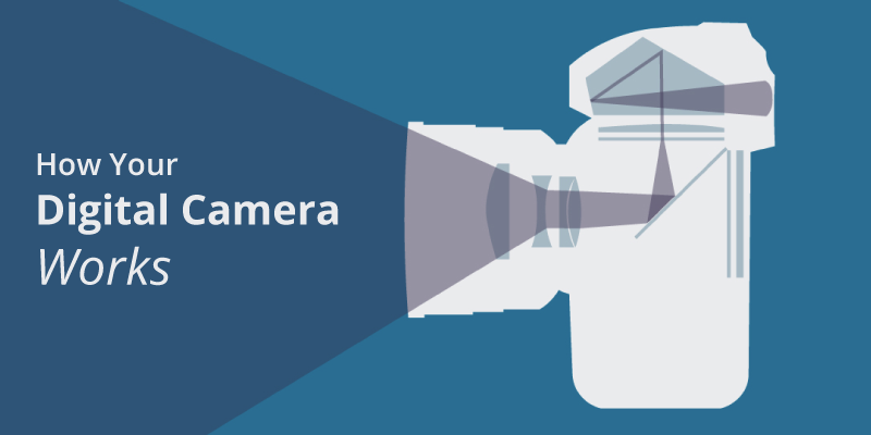 bhphoto's tweet image. How Your Digital Camera Works bhpho.to/1IfbeGG