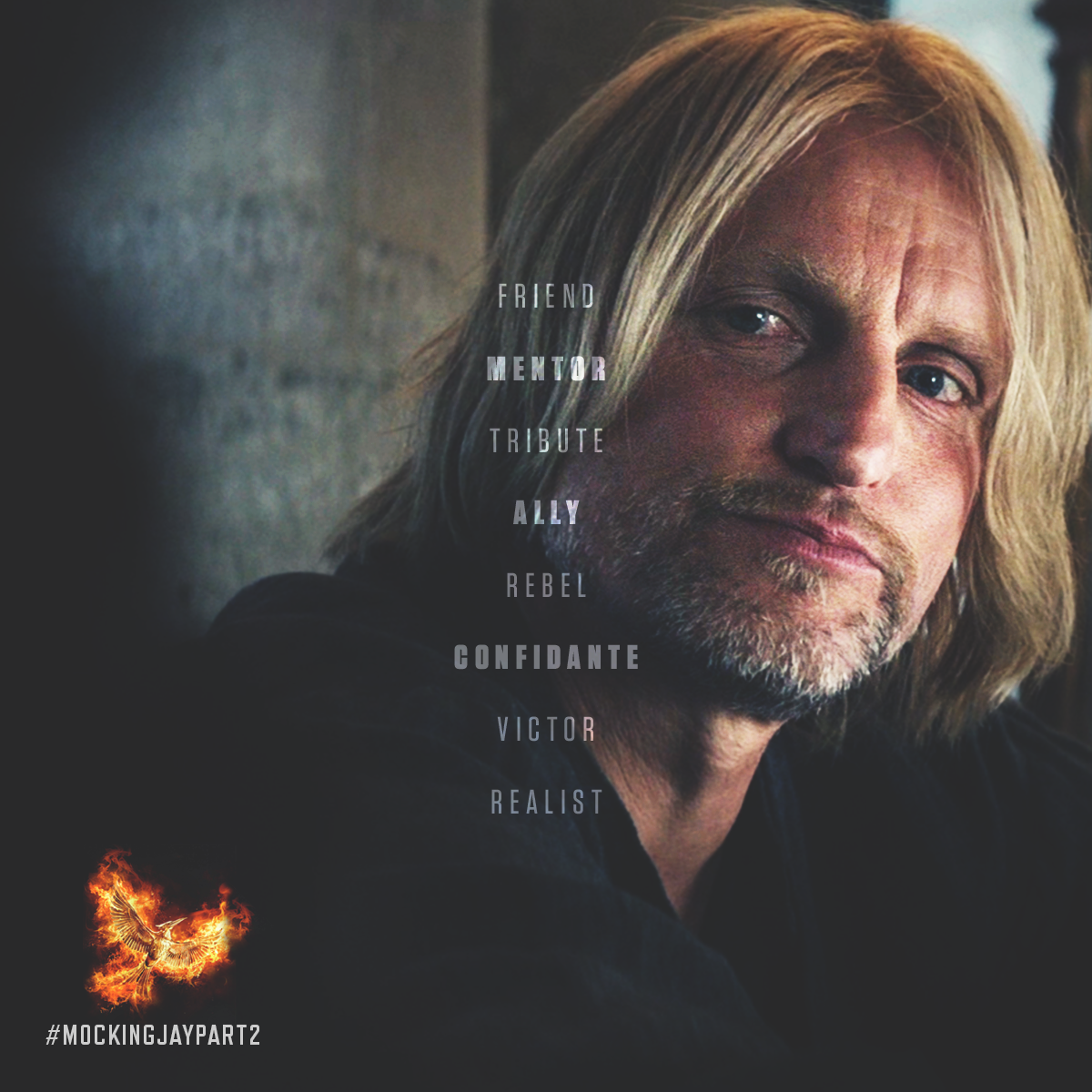 Hunger Games Haymitch hunger-games-haymitch
