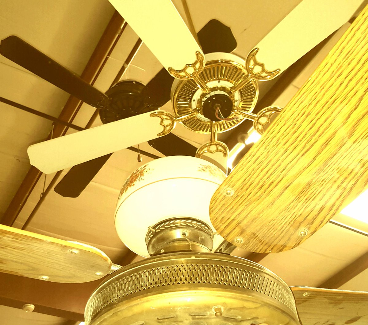 Athens Area Habitat On Twitter Ceiling Fans For Only 2 This