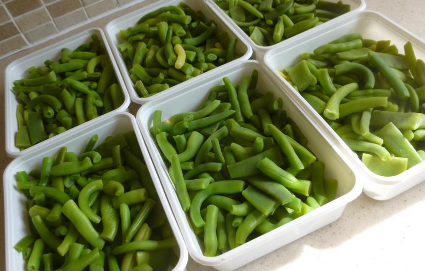 Beans beans beans #growyourown