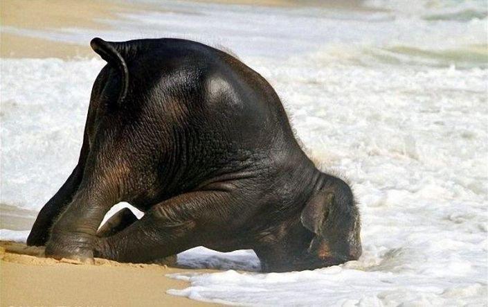 Grant_Auber's tweet photo. @emmakanell http://t.co/OB22EHVkKg