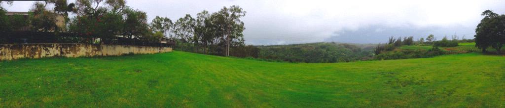After months of almost no rain #Kauai (and most of #Hawaii) is getting seriously soaked. Good news: #garden is green!