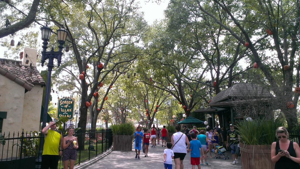 coasterblog2015's tweet photo. Straßenzüge sind schon für Halloween Thematisiert *_* http://t.co/2Ty9DZbbzG
