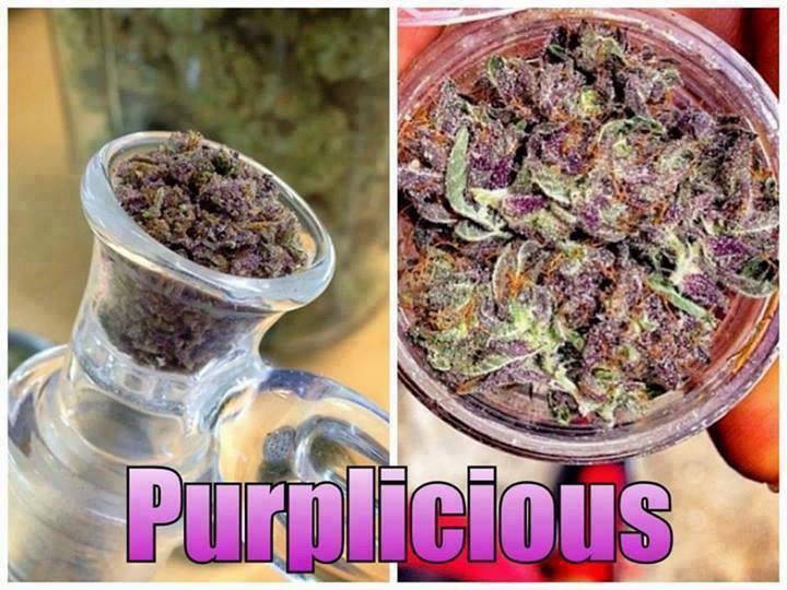 Un peu de zenitude dans ce monde de fou... #PurpleGanja