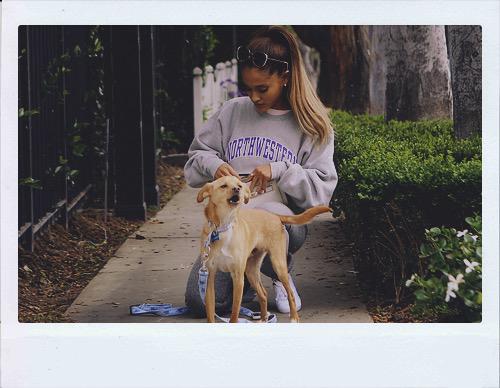 EnticeDivinity's tweet image. My buttercup. 🐶