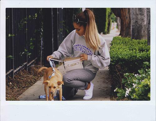 EnticeDivinity's tweet image. My buttercup. 🐶