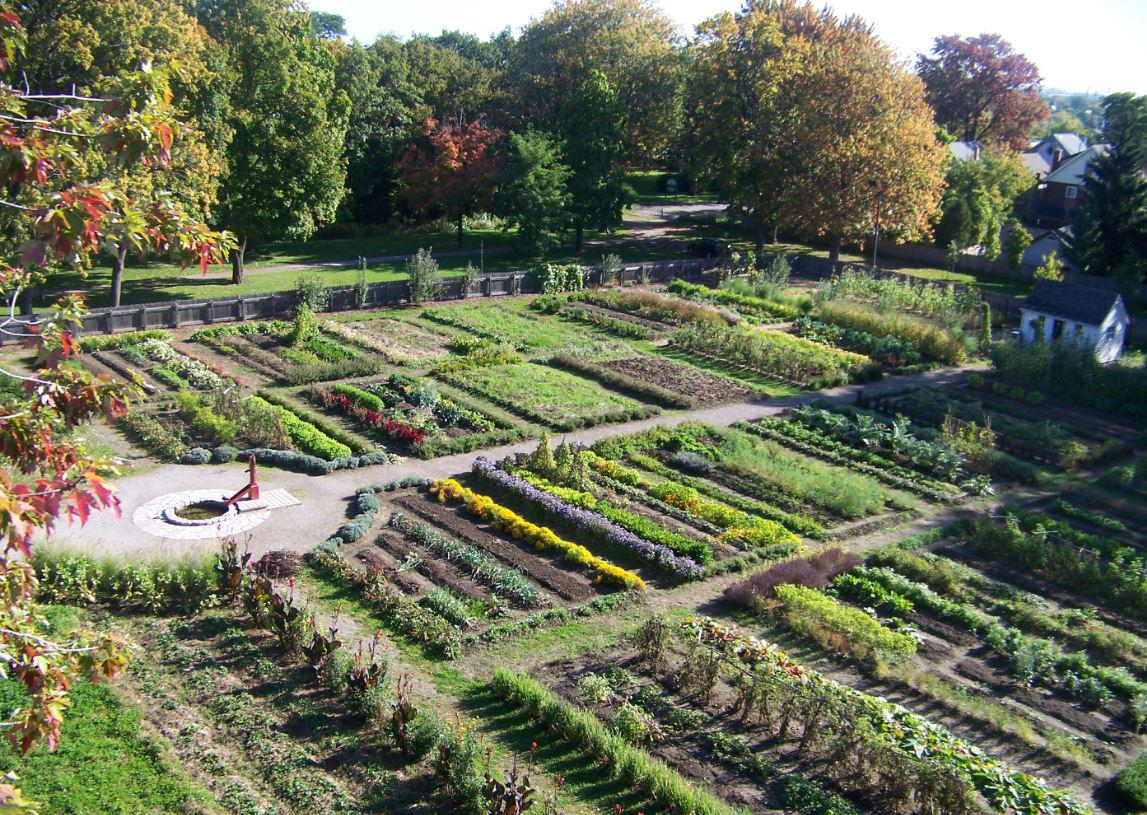TourismHamilton's tweet image. Enjoy stories &amp;amp; gardening knowledge w/ a Historic Garden Tour at Dundurn Castle: bit.ly/1hZsCqr #HamOnt
