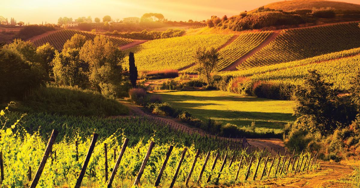 alawine's tweet image. &quot;travel getaway and wine&quot; 
#solvemyproblemsin4words 
RT @Expedia expd.us/atutS1  #wine