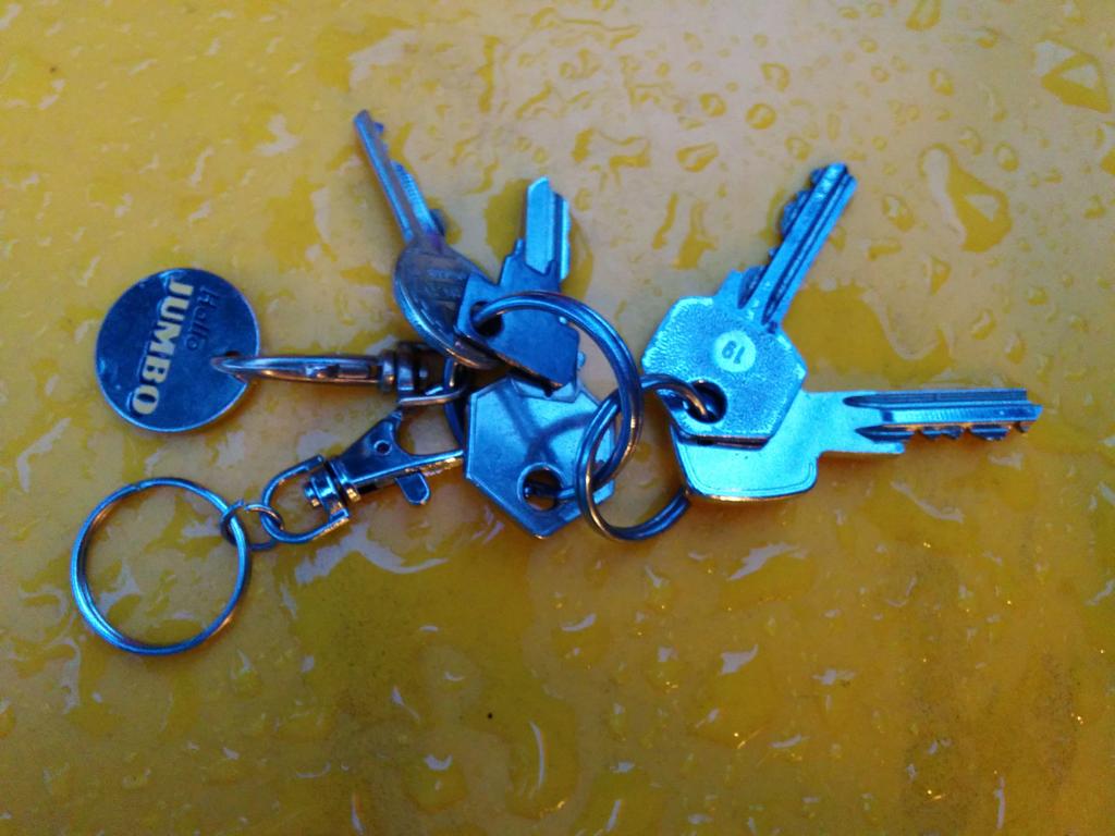 Sleutelbos gevonden in het Stinspark #Westenholte #Zwolle. Sleutels afgegeven bij de Jumbo in Westenholte