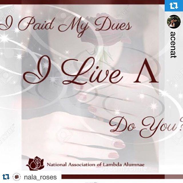 Lambdas1986's tweet photo. #Repost of a repost! 😊 #LambdaAlumnae have you paid your dues yet?
There is still a chance to pay dues! The dues pa… http://t.co/GLc0cwuGwx