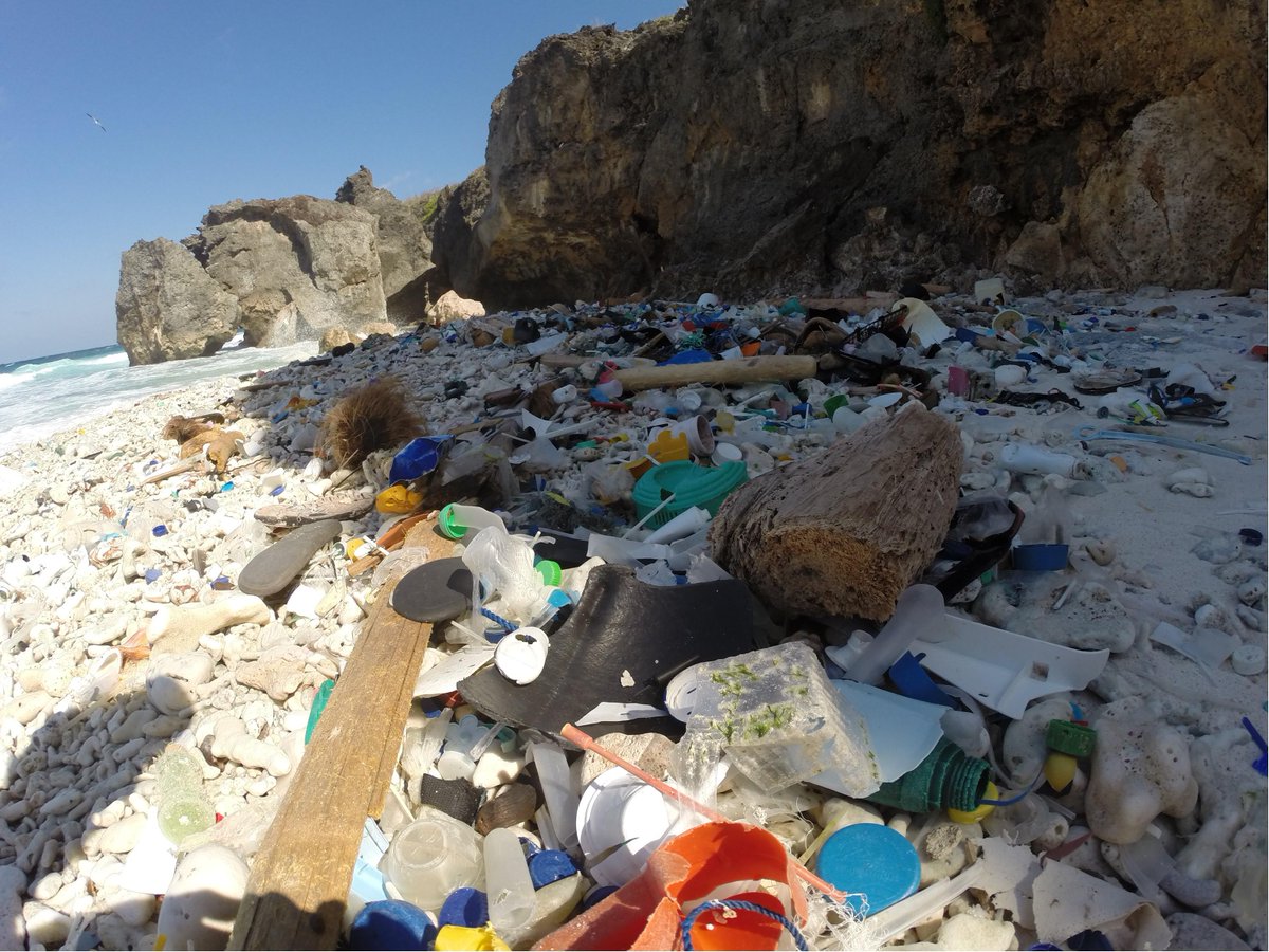 E__Jackson's tweet image. Looking for some lost rubbish? It's swamping the beaches &amp;amp; unique habitats of Christmas and Cocos  #KABweek @NACC_NRM