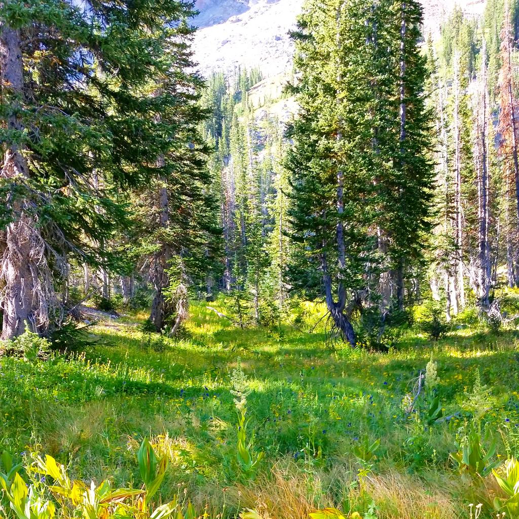 dannahyer's tweet photo. @ChaseThomason @Bearfoottheory @Interior #getoutthere #keepitcontagious #LifeElevated @VisitUtah @SamsungMobileUS http://t.co/OGd2EsolAo