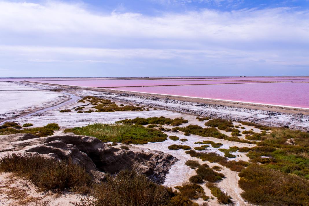 <a href="/cartolinemondo/">Cartoline dal Mondo</a> Ragazze nuova cartolina per voi. Saline della #Camargue in arrivo!  #cartolinedalmondo