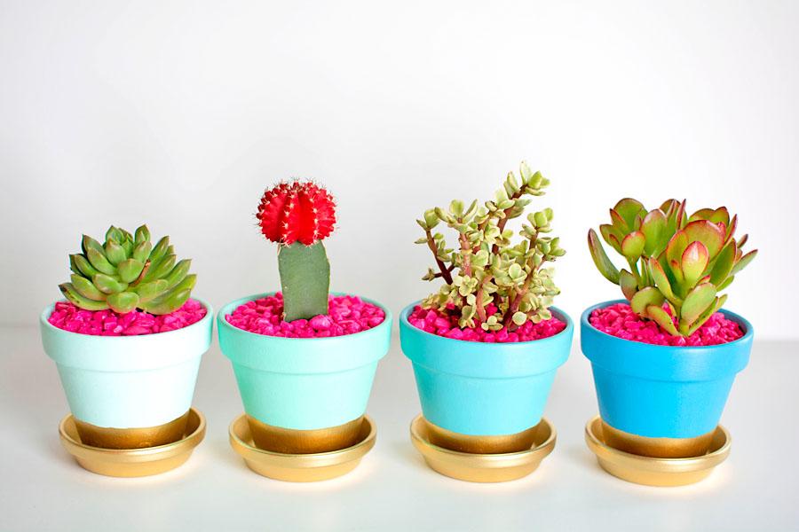 PicMeStore's tweet image. These flower pot DIY's are too pretty!
diys.com/decorate-your-…
@diyscom #DIY #decor