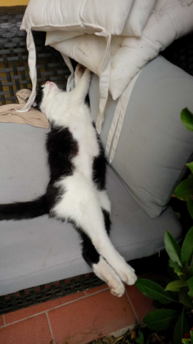 PesiMario's tweet image. Che stanchezza!!!!