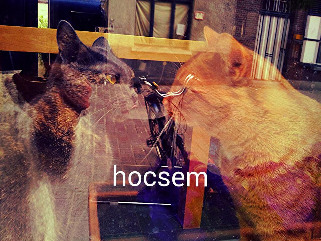 hocsem's tweet photo. @natural beauty bilbao@barber bilbao@ slow beauty@hocsem hair studio http://t.co/nFmOFZEvlz