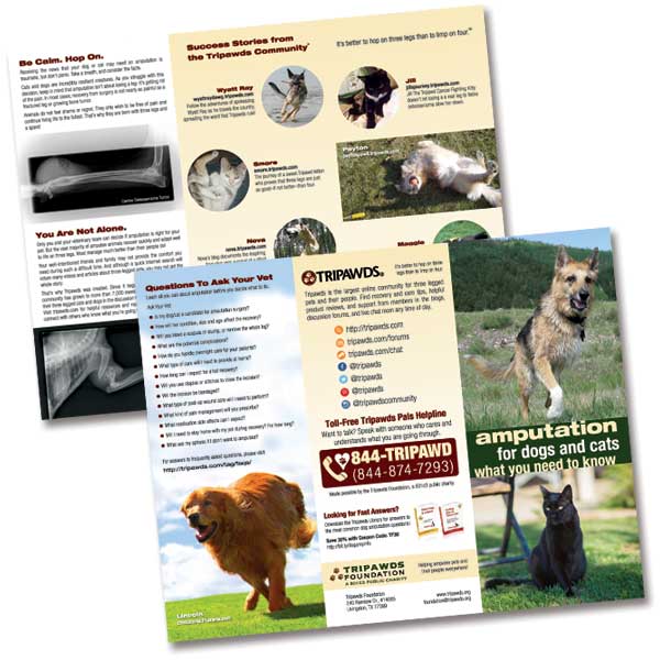 Tripawds's tweet photo. Take the fear out of #amputation: Send your vet free brochures from http://t.co/m2VRmOAeKo: http://t.co/2ozh8BSRDN http://t.co/vFGtKxxyL9