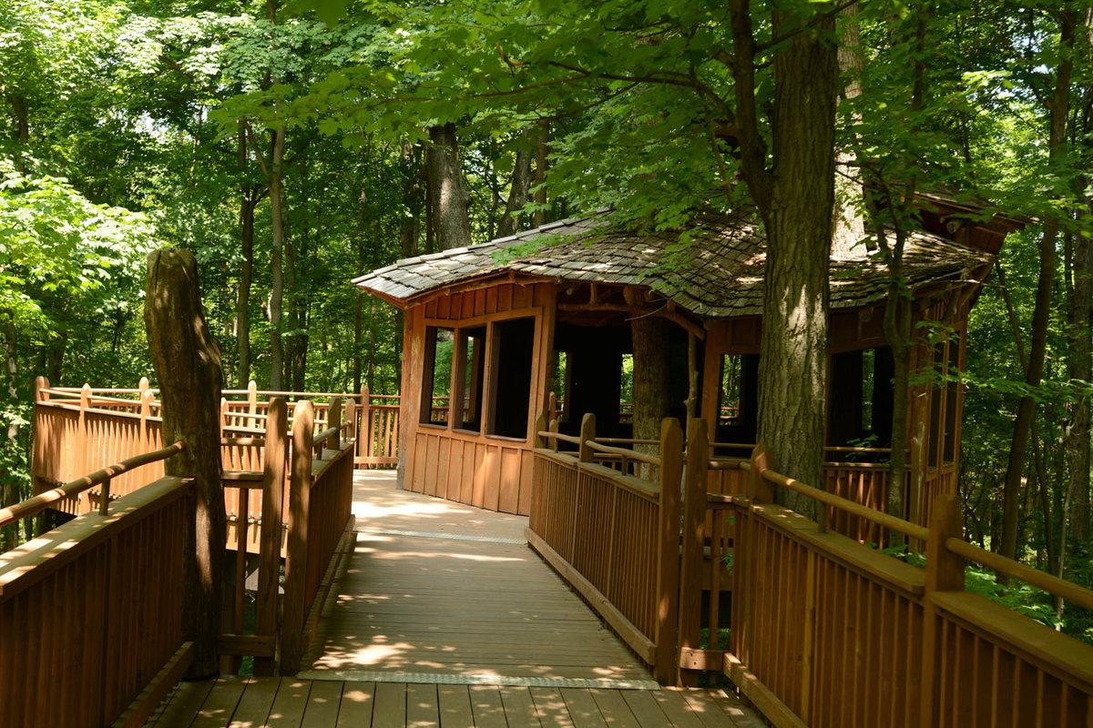 Cincinnati Refined On Twitter True Story There S An Awesome Public Treehouse In Cincinnati Greatparks Http T Co Pgt8rsagwn Http T Co V85sxbt7j5