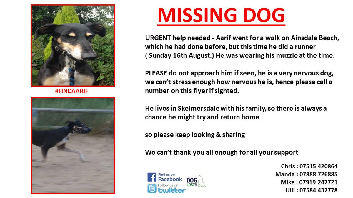WiganMatters's tweet photo. @LocalLifeMedia Missing dog please can u share? #findAarif #ainsdalebeach #skem #southport   thank you  @FindAarif http://t.co/duKzFeSX68