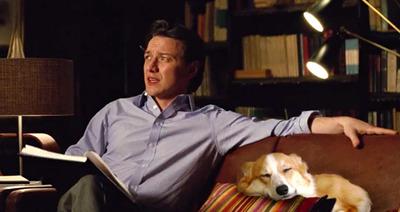 So many Corgis, so little time.