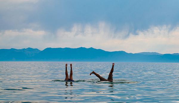 Fall is actually one of the best times to head to Tahoe. Here are 25 things to do this season: 7x7.com/eat-drink/25-t…