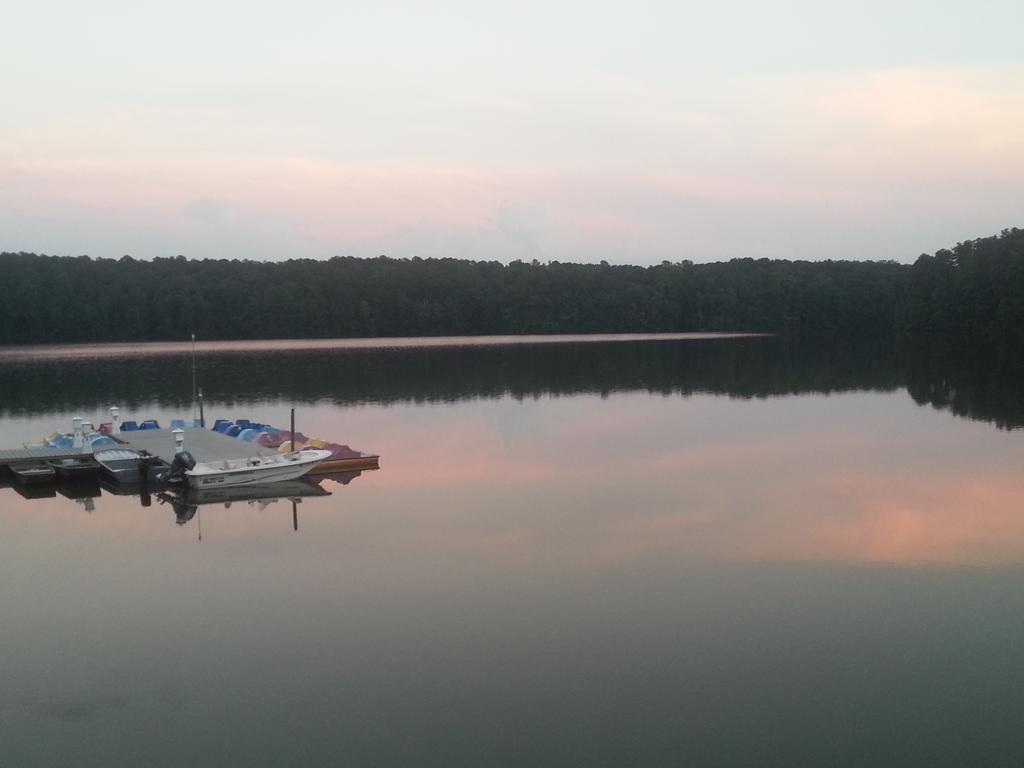 Jumpanzee_Team's tweet image. Evening walk with the #JumpPups! #FunTradition