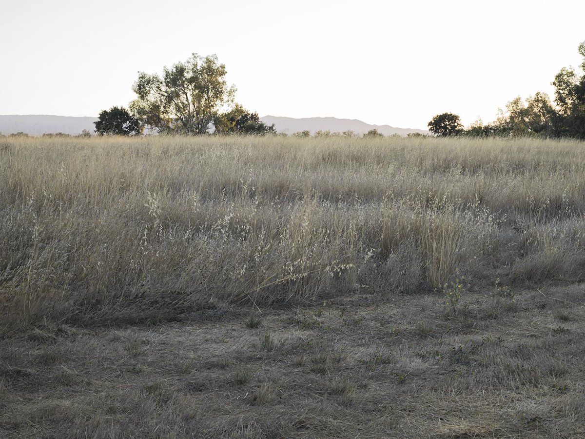 Director Robert Machoian says goodbye bit.ly/1WR3gLF <a href="/indiewire/">IndieWire</a> <a href="/sxsw/">SXSW</a> @SF_FilmSociety <a href="/iTunesMovies/">iTunes Movies</a> <a href="/ifpfilm/">gabi :D</a>