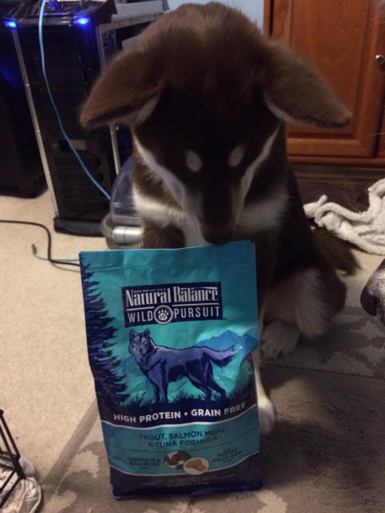 We love <a href="/NaturalBalance/">Natural Balance</a> at <a href="/PetSmart/">PetSmart</a> because it is good for sensitive puppy tummies! #BlogPawsChat