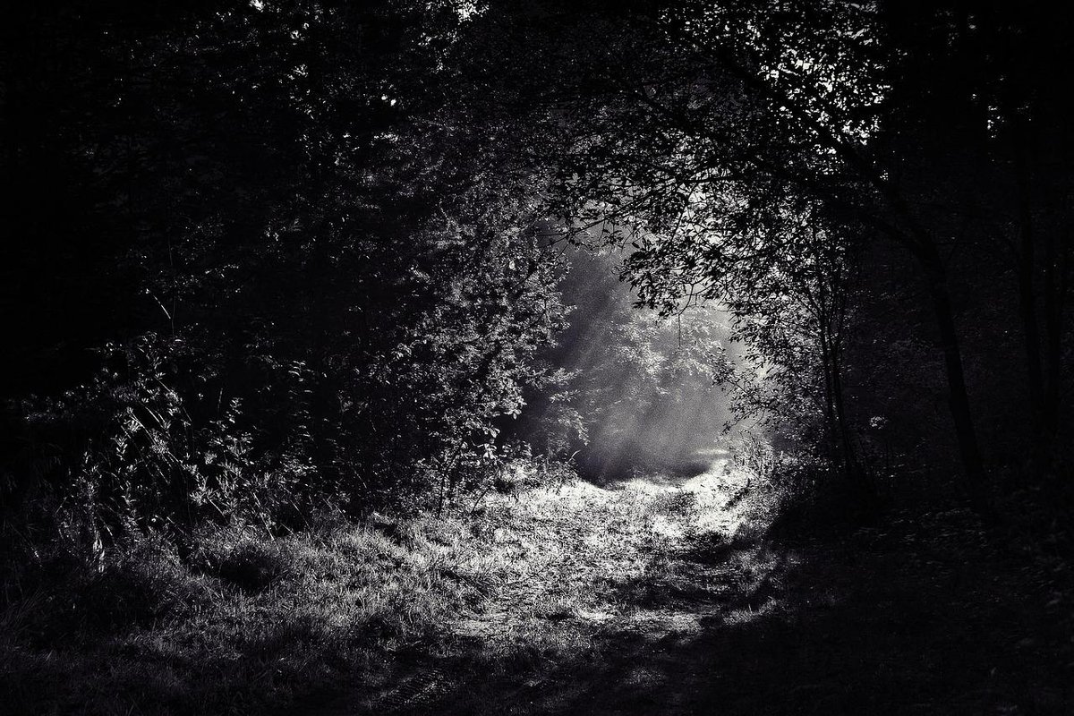 vincentmenezes's tweet photo. "The #bestwayout~
#isalwaysthrough."  –

#RobertFrost

#authors #quotes #life 
 .@dianaraab
http://t.co/oTPoqRffZH
http://t.co/EOR8GAgaT3