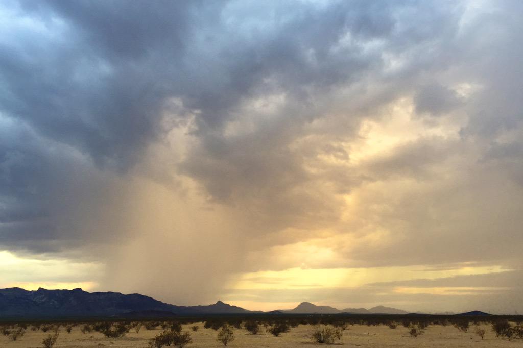 davo_laninga's tweet photo. It's coming down, east of Quartzsite, AZ. #azwx http://t.co/8zVHXxGJEd