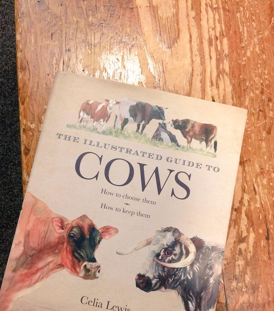 absolute_sh's tweet image. I also read some of this today at the local bookstore, like a true farmgal. #beltiesorjerseys #cowproblems?
