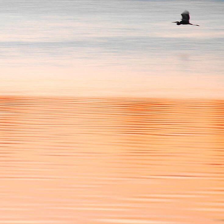 telhiard's tweet photo. Mother Nature's color palette never fails to amaze #Louisiana #sunset #BatonRouge @Ginger_Zee  @Josh_Eachus http://t.co/B9kHoo8IMf