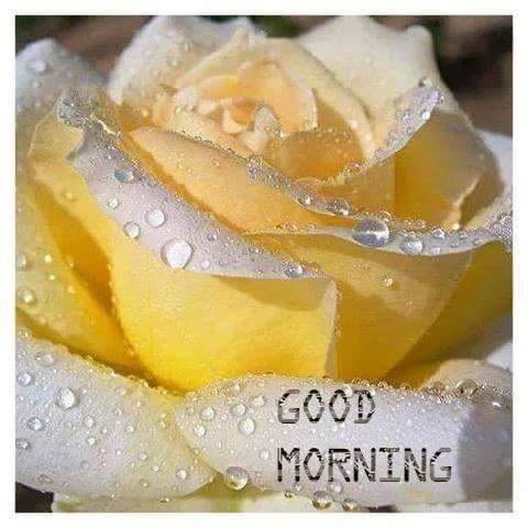imNraina's tweet photo. http://t.co/WQiZhHTRZp