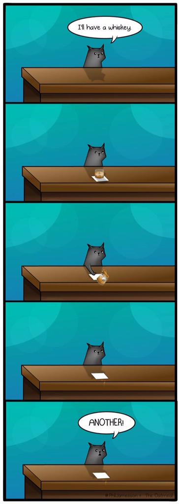 gpbuttersnaps's tweet image. A cat walks into a bar!  #catgames #catworldproblems #acatwalksintoabar #meow #catsoftwitter #cats