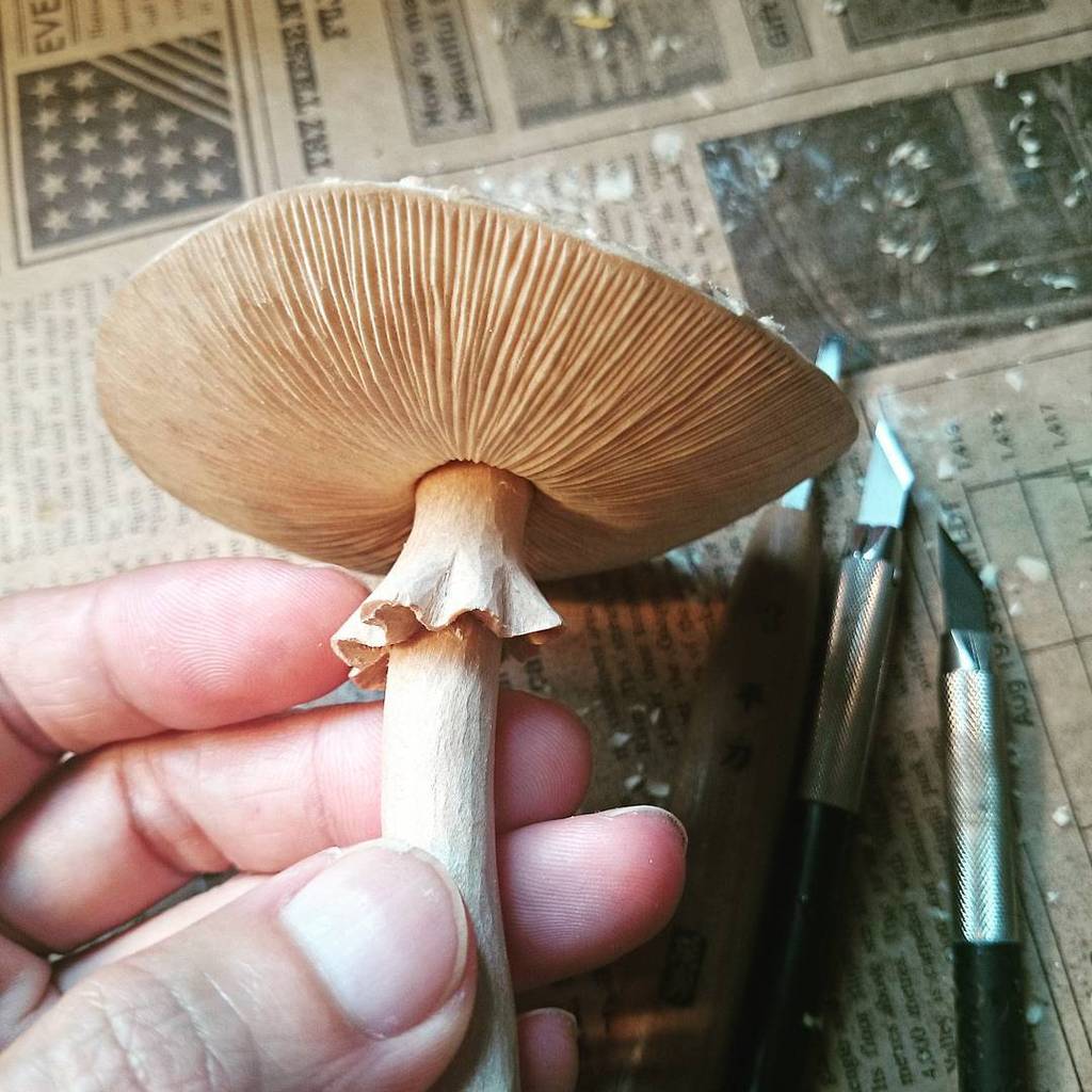 akihiko916:

#きのこ #木彫 #小島秋彦 #mushroom #woodcarving #book #mushroombook ift.tt/1Pxppc4