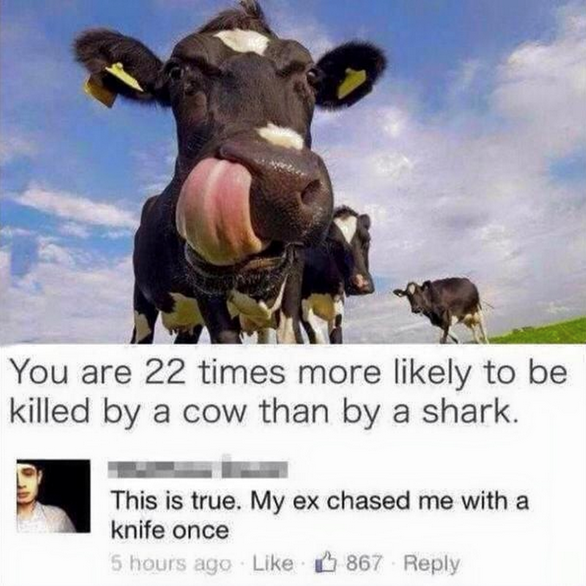 MeninistTweet's tweet photo. legend http://t.co/MHrEnKuyL1