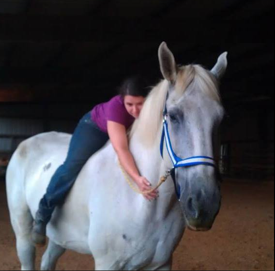 MariaKCalderara's tweet photo. This is Zeus a 20 hand #percheron #horse that I'm having the #pleasure of #training to be my new #showhorse. http://t.co/ZGUDXEINSm