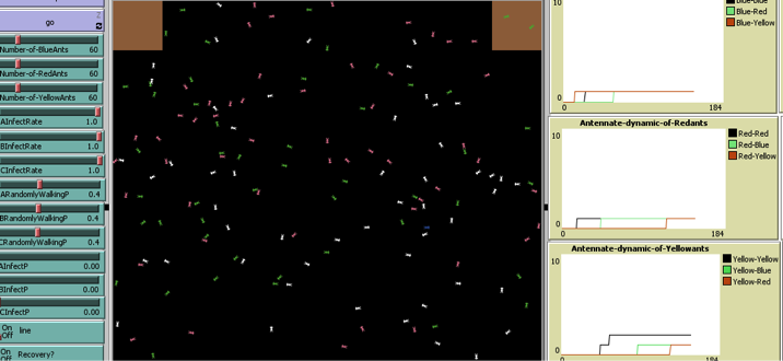 asu_behavior's tweet image. Simulations of ant antennation networks