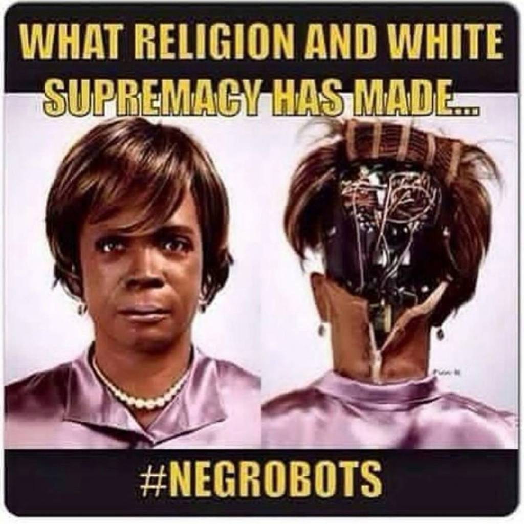 Otherbots's tweet image. #truth  #dead #automotons #robot  #negropeans by official_18th_letter