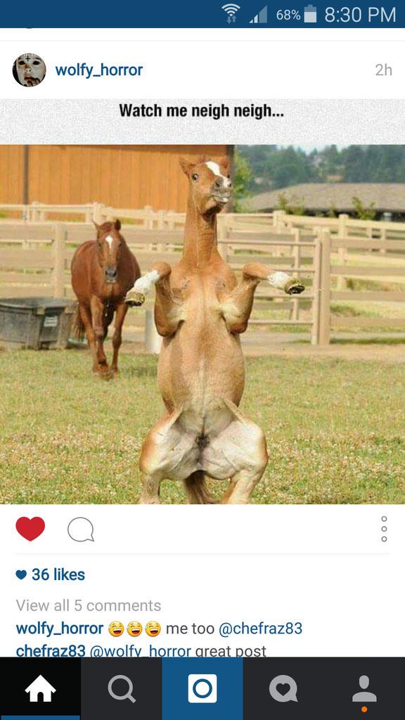 MayfieldSmith's tweet photo. As much as I absolutely LOATHE that nay nay song (wtf is a nay nay anyway) this made me laugh. http://t.co/5uhEexXKFO