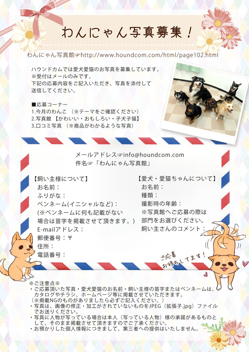 株式会社 帝塚山ハウンドカム ハウンドカムではお客様のわんちゃんねこちゃんのお写真を募集しています メールのみの受付です 募集要項はこのツイートの添付画像または わんにゃん写真館 Http T Co B4smobwjon をご覧ください ハウンドカム