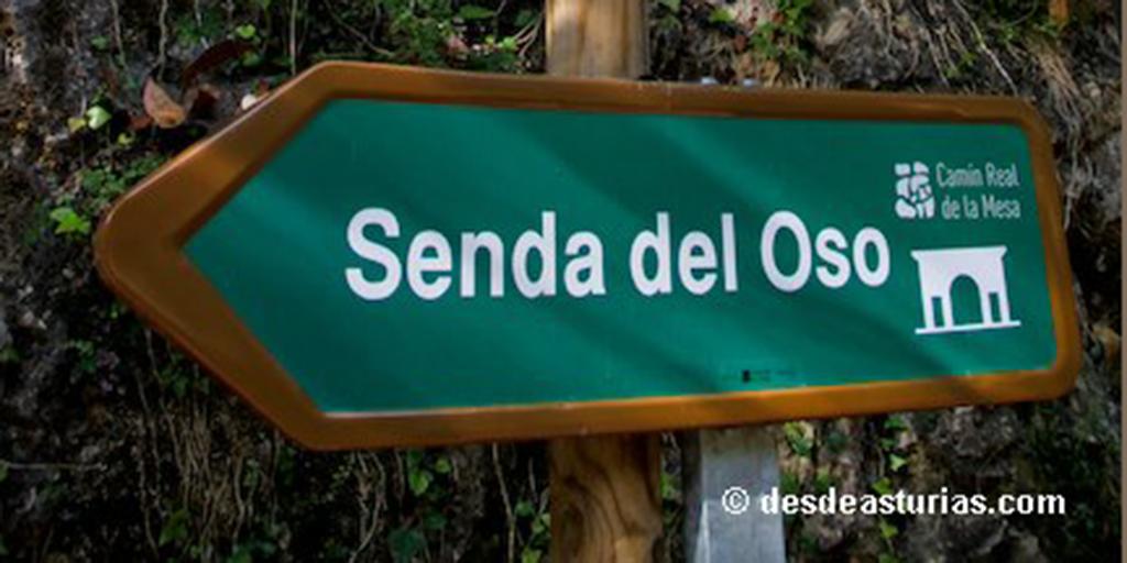 Si tus pasiones son las #viasverdes y el #ciclismo @desde_asturias te propone la bit.ly/SendaOso en #Somiedo