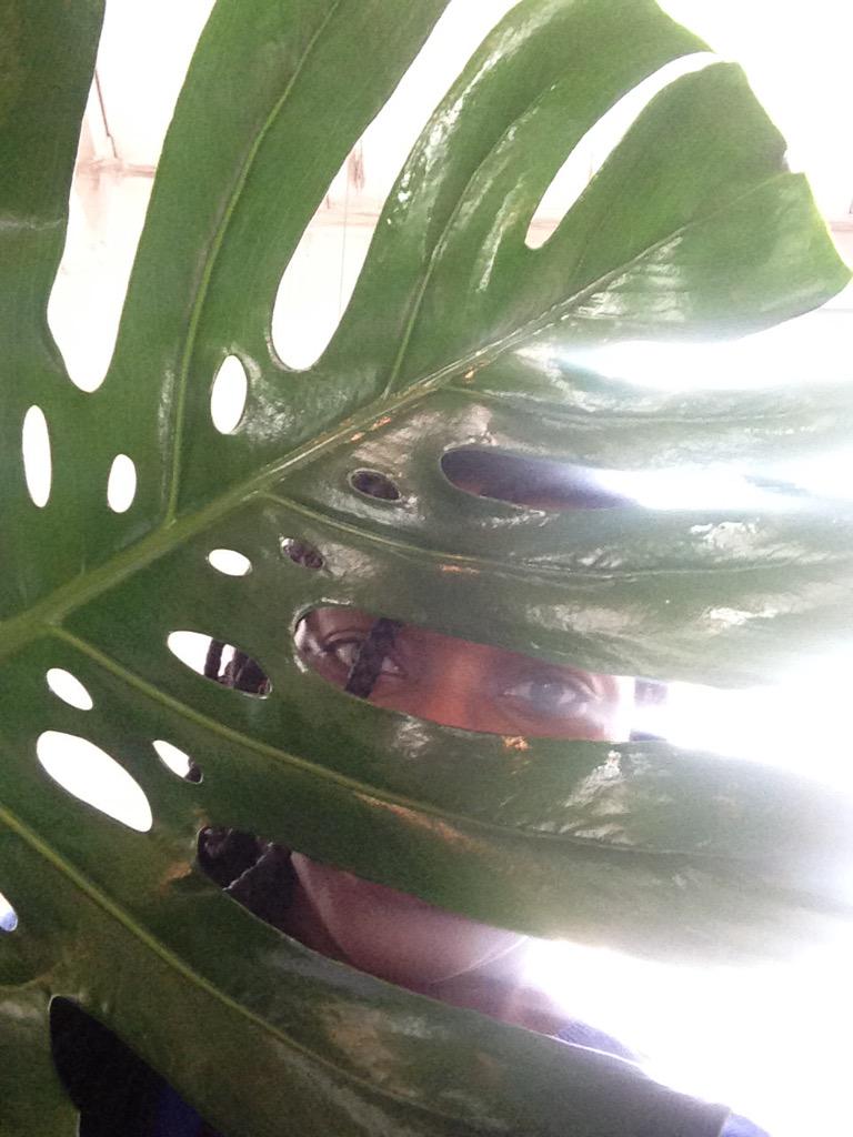 chantel_king's tweet photo. Tropical fun at the studio http://t.co/IyKPzdzFSz
