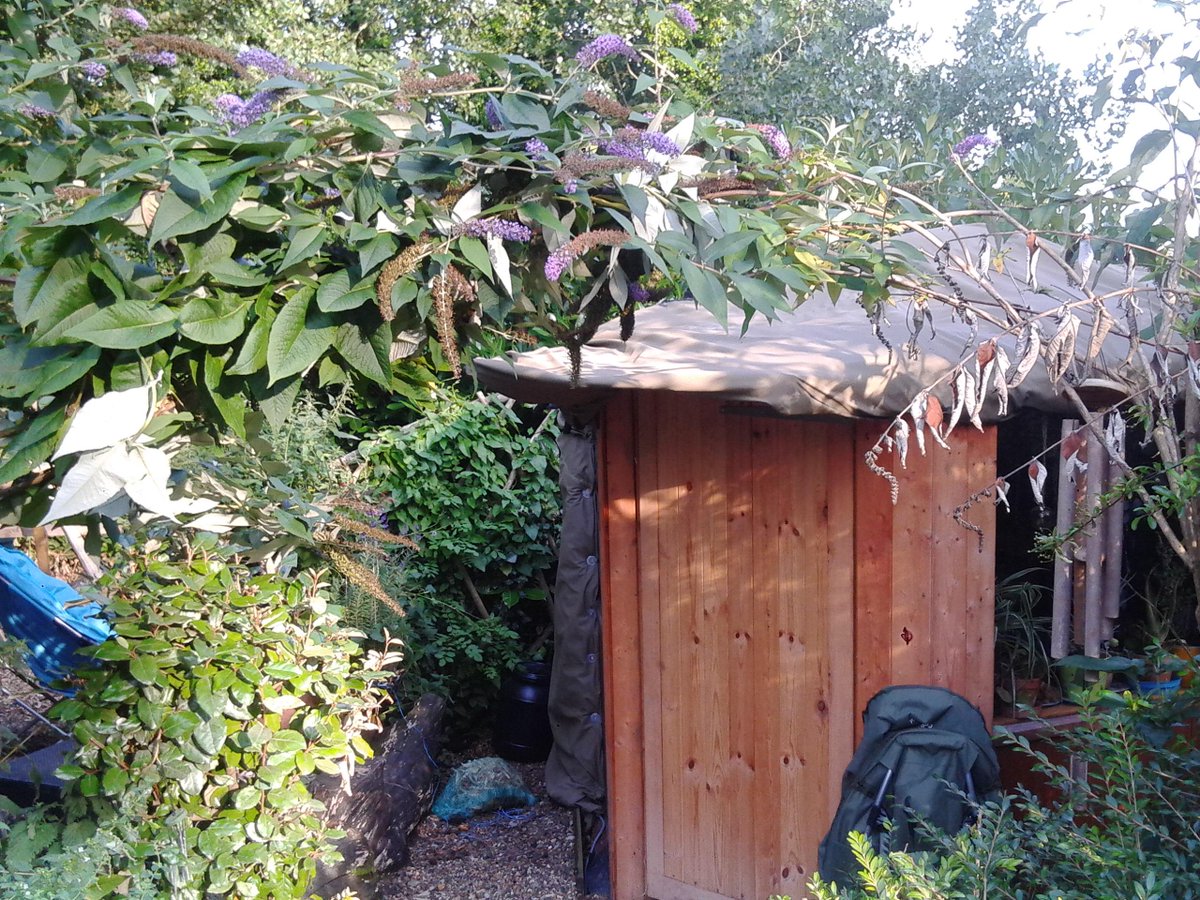 Ever thought about using Hazel to build with!? We did &amp; here's an account of the build process coppicecrafts.blogspot.co.uk/2015/08/a-haze…