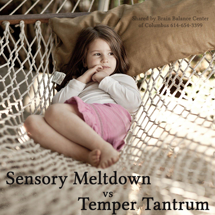 BBColumbus's tweet photo. Is Your Child’s Behavior Issue a  Temper Tantrum or Due to a Sensory Processing Disorder?

http://t.co/1Bprtzll7O http://t.co/hNMmwh1pZD