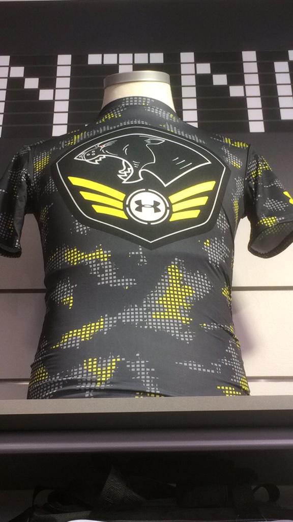 TeamEntinity's tweet image. @KinguinNet 
Thank you for the sponsor! Where do you want your logo on our shirt?